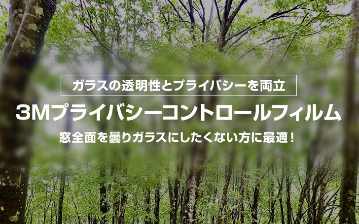 【3Mプライバシーコントロールフィルム】窓全面を曇りガラスにしたくない方に最適