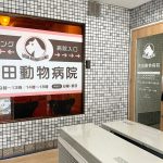 ウィンドウ装飾