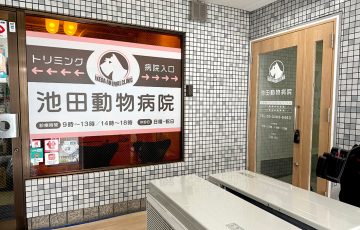 ウィンドウ装飾