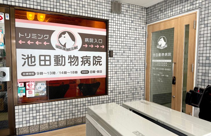 ウィンドウ装飾