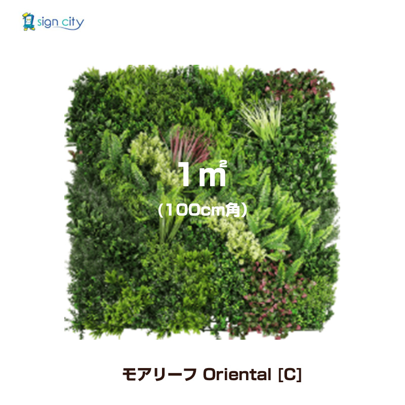 壁面緑化-モアリーフ-Oriental-C