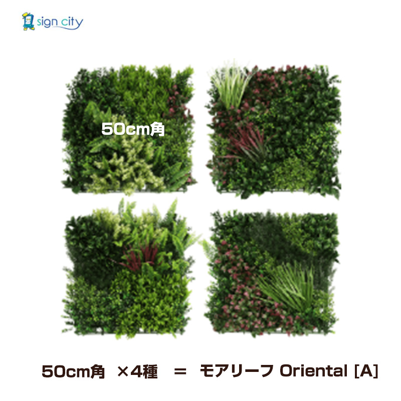 壁面緑化-モアリーフ-Oriental-A-1