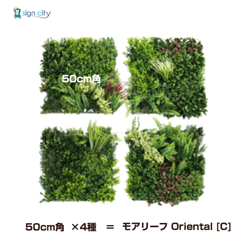 壁面緑化-モアリーフ-Oriental-C-1