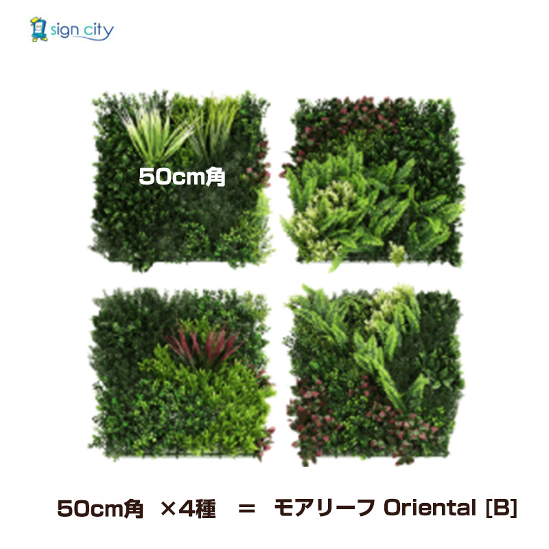 壁面緑化-モアリーフ-Oriental-B-1