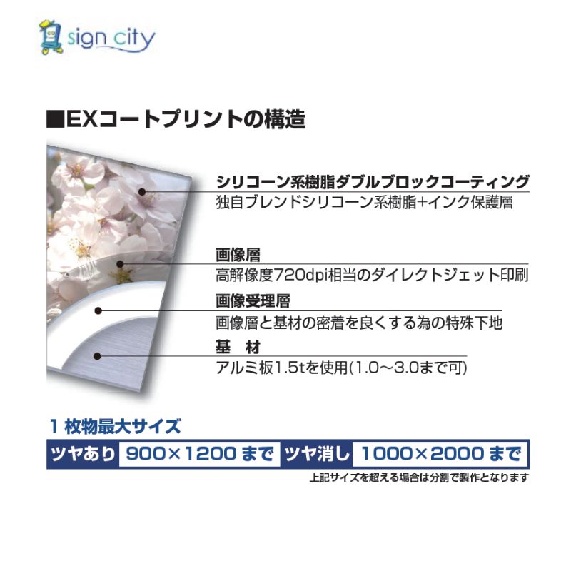 EXコートプリント構造