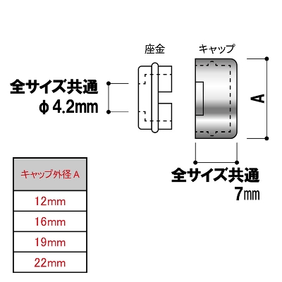 是非飾って下さい。 6185I0PhewL._UF350,350_QL80_.jpg