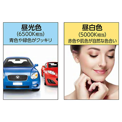 電材／照明器具】アドビューL2 W1200 昼光色6500K | 看板の激安通販