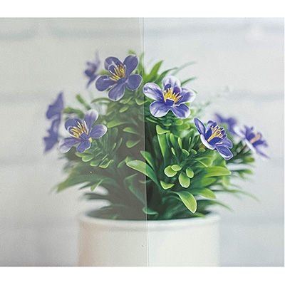 ガラスフィルム】CLEAS 防虫 GF1409-2 ムシアウェイ マット