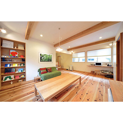 ポスターフレーム】デッサン額 T25 B3 エメラルドグリーン 屋内用