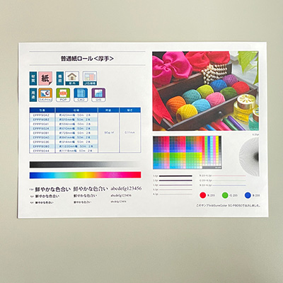インクジェットメディア】エプソン EPPP90B0 普通紙ロール<厚手