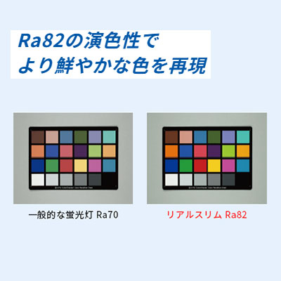 看板照明】オプティプラス REALSLIM 什器用 OPSLM-A1140・D 5700K