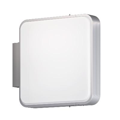 X 看板 当時物 兵庫県からレンタルバイクを探す｜ウェビック バイク選び