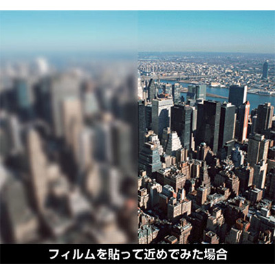 フォグラス