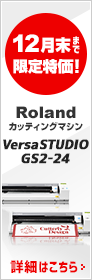 Roland VersaSTUDIO GS2-24キャンペーン