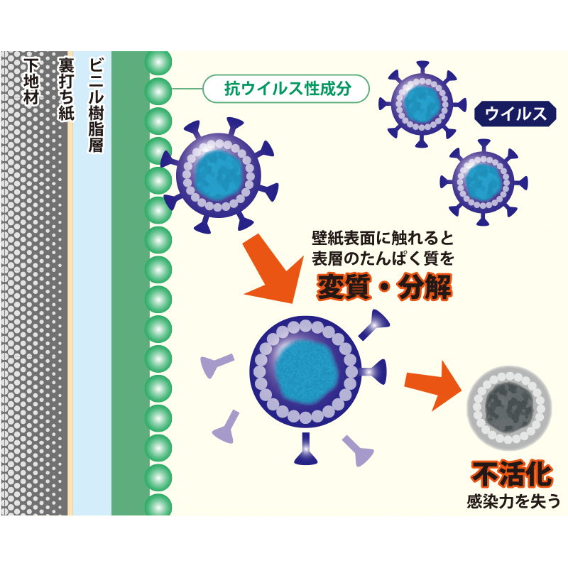 壁紙 ベガウィルス（フラット） 