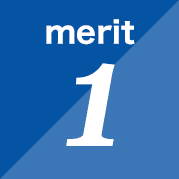 merit1