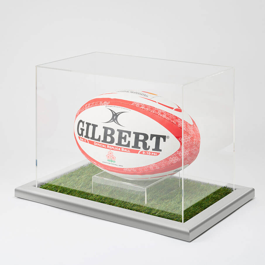 ラグビーボールケース 人工芝×ビターフレーム