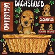 ダックスフンド