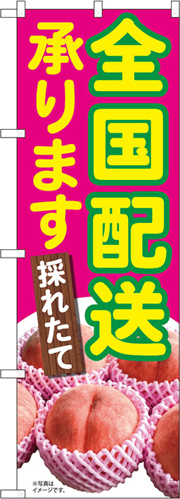 直売所・果物狩りのぼり 人気デザイン1