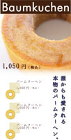サンプルA-31