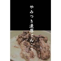 サンプルA-30