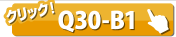 クイックロックバー Q30-B1